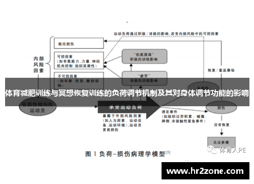 体育减肥训练与冥想恢复训练的负荷调节机制及其对身体调节功能的影响