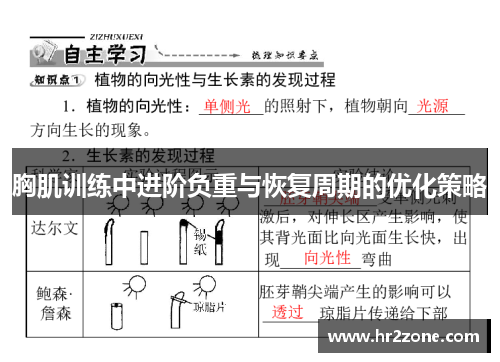 胸肌训练中进阶负重与恢复周期的优化策略